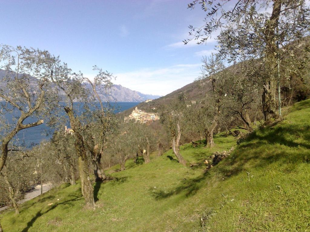 Romantic Dream Torri Del Benaco Εξωτερικό φωτογραφία